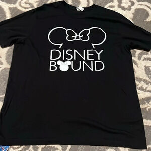 Disney bound t shirt. Bella canvas. Worn one time.